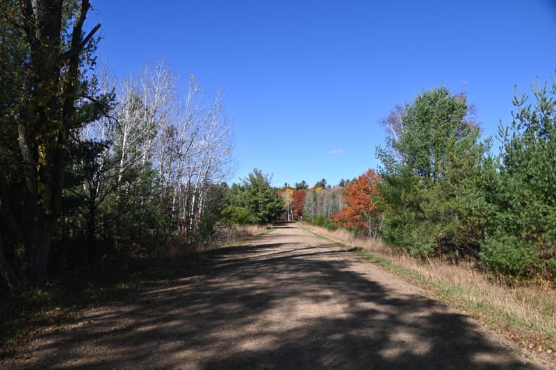 TBD Pacer Loop, Browerville, MN 56438