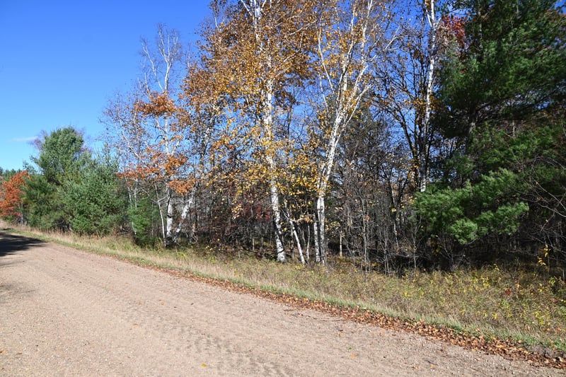 TBD Pacer Loop, Browerville, MN 56438