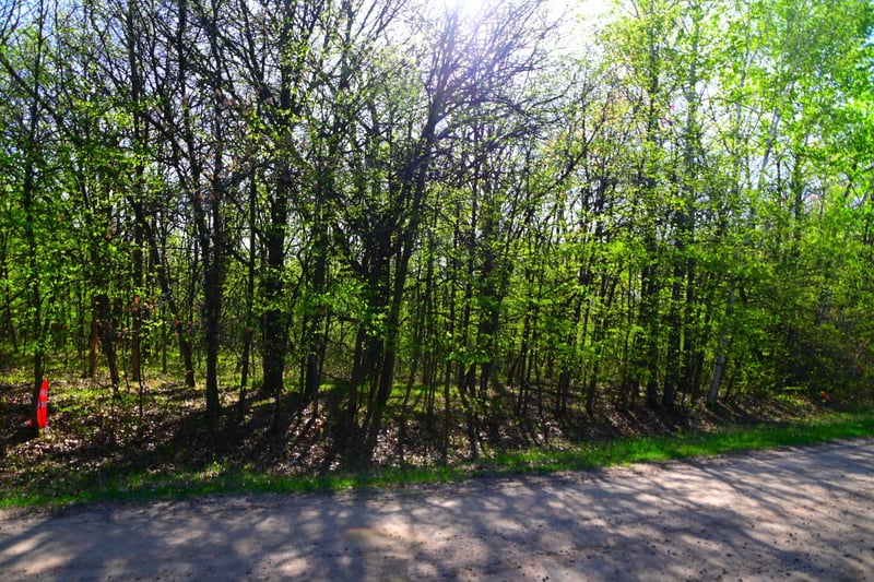 28329 Orchard Dr, Browerville, MN 56438