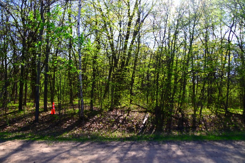 28329 Orchard Dr, Browerville, MN 56438