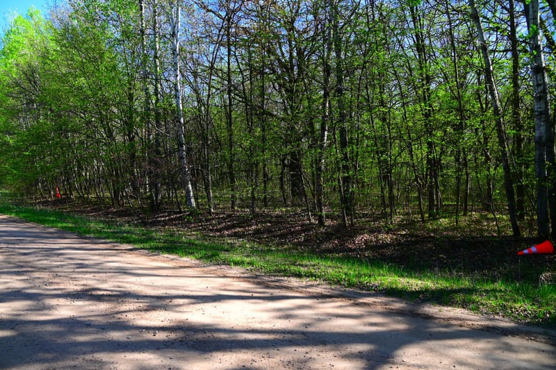 28329 Orchard Dr, Browerville, MN 56438