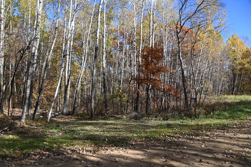 39924 Oriole Ct, Browerville, MN 56438