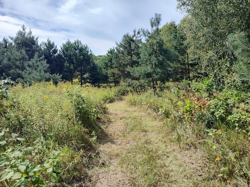 LOT 2 211th St, Centuria, WI 54824