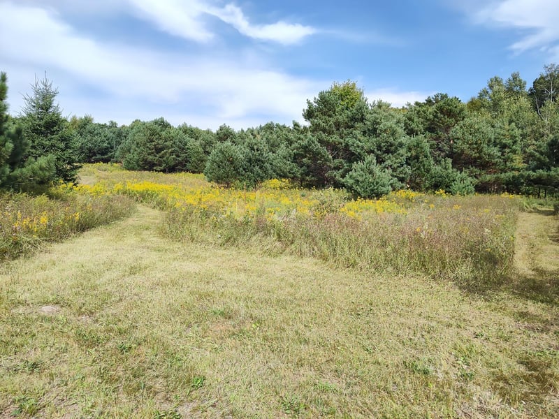 LOT 2 211th St, Centuria, WI 54824