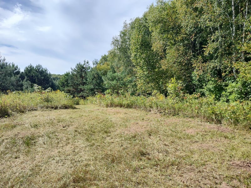 LOT 2 211th St, Centuria, WI 54824