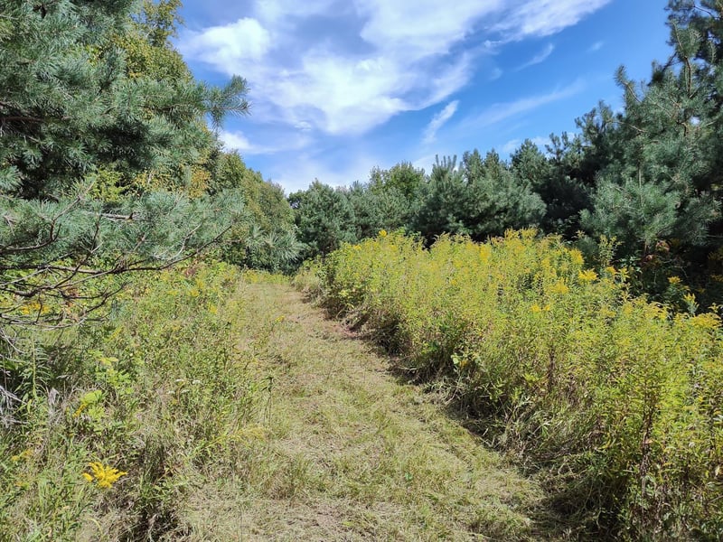 LOT 2 211th St, Centuria, WI 54824