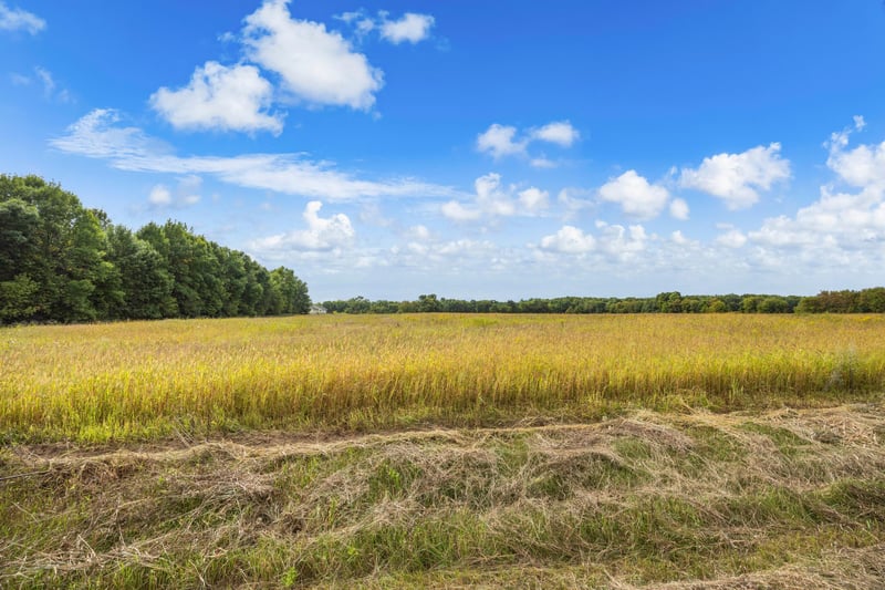 XXX County Road 12, Princeton, MN 55371