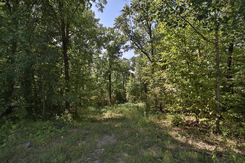 49601 Thunderbird Dr, Staples, MN 56479