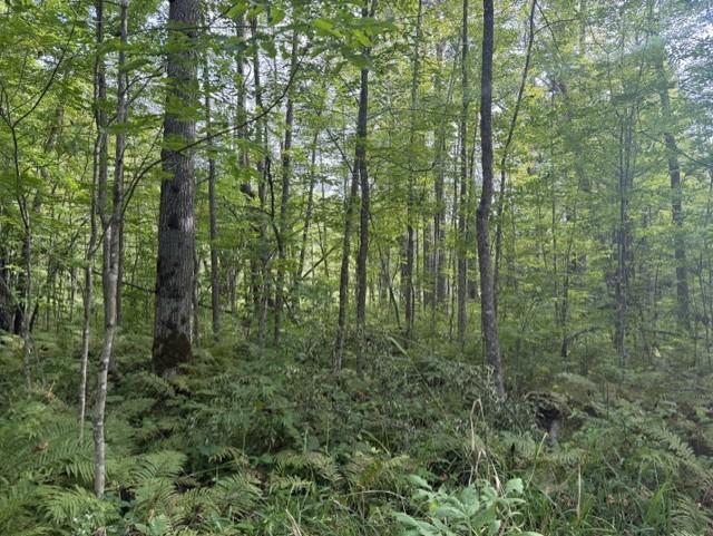 TBD Great River Rd, Palisade, MN 56469