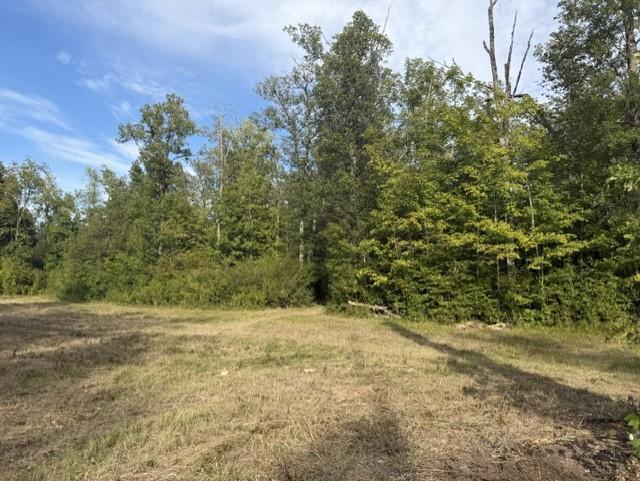 TBD Great River Rd, Palisade, MN 56469