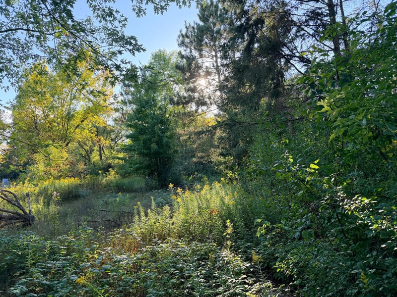 2346 150th Ave, Braham, MN 55006