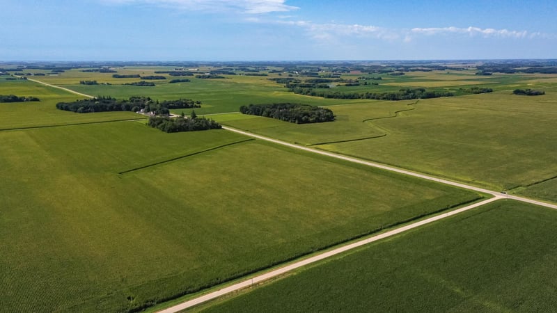 TBD Mower/freeborn Rd, Blooming Prairie, MN 55917