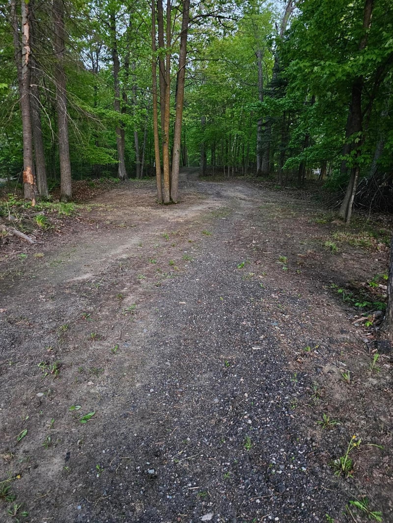 tbd Girl Lake Trail Ne Trl NE, Longville, MN 56655