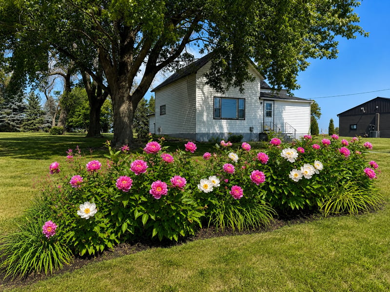 57736 370th St, Mountain Lake, MN 56159