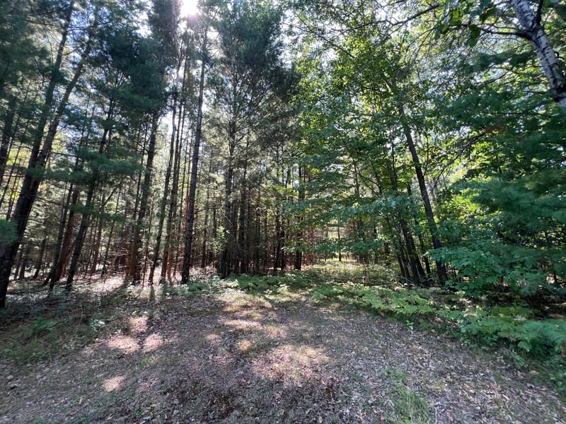 14670 Cross Lake Rd, Pine City, MN 55063