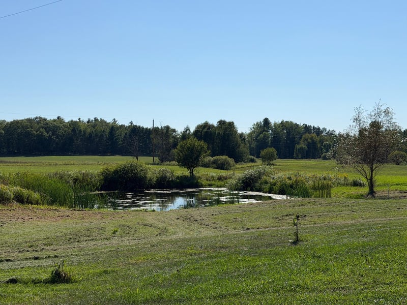 2149 Dixon Line, Finlayson, MN 55735