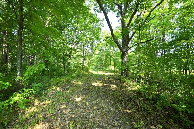 00 10 1/2 28 1/2, Barronett, WI 54813