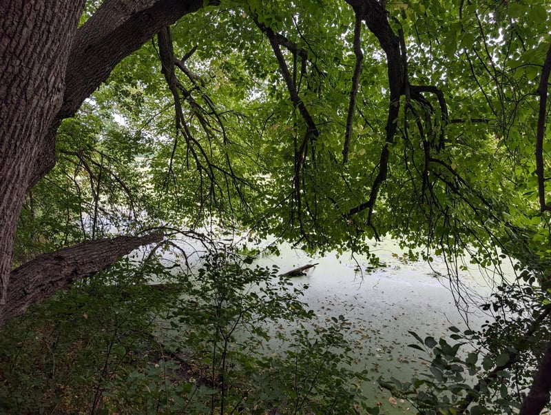 xxx E Birch Ave, Barron, WI 54812