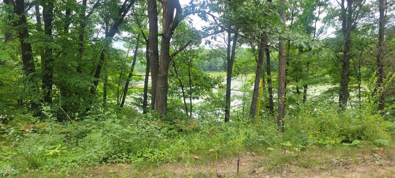 TBD Cedar Rd, Cushing, MN 56443