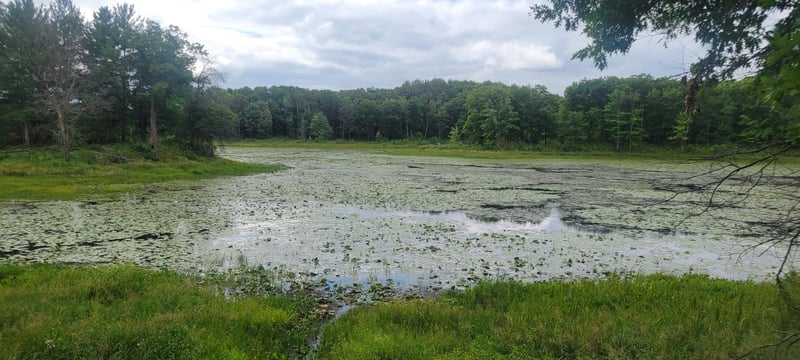 TBD Cedar Rd, Cushing, MN 56443