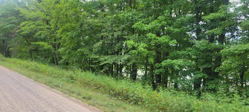 TBD Cedar Rd, Cushing, MN 56443