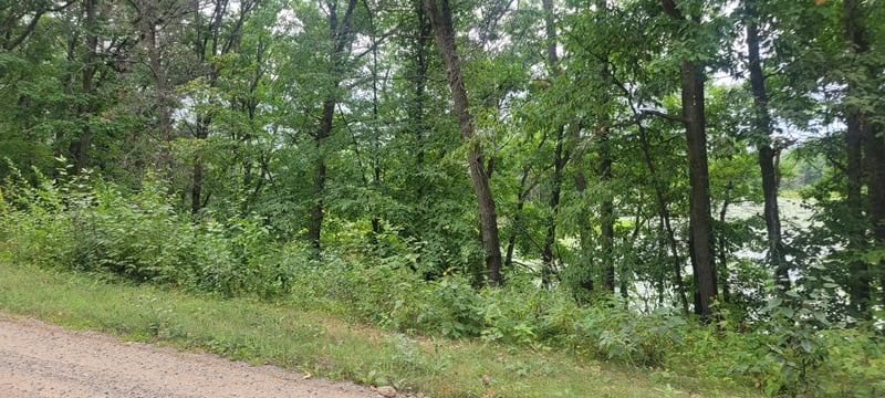 TBD Cedar Rd, Cushing, MN 56443