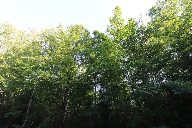 36XX N Shore Rd, La Pointe, WI 54850