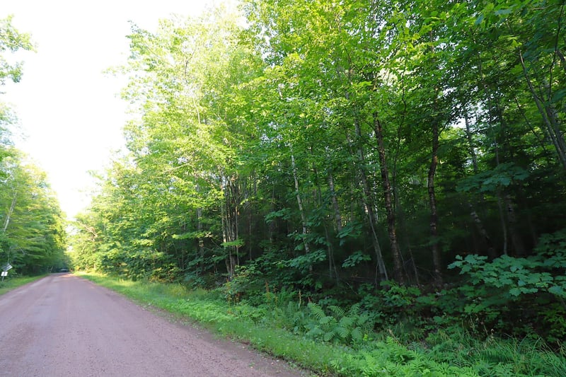 36XX N Shore Rd, La Pointe, WI 54850