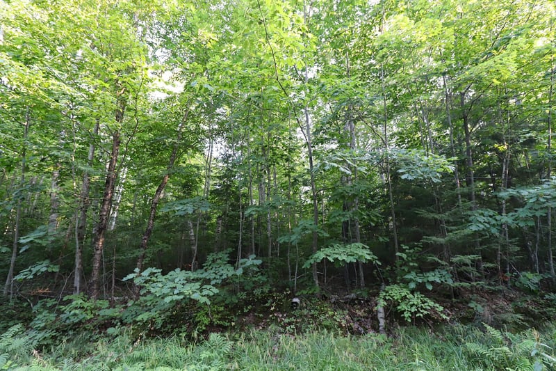 36XX N Shore Rd, La Pointe, WI 54850