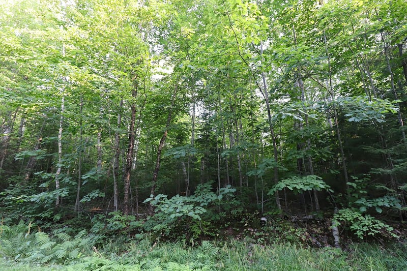 36XX N Shore Rd, La Pointe, WI 54850
