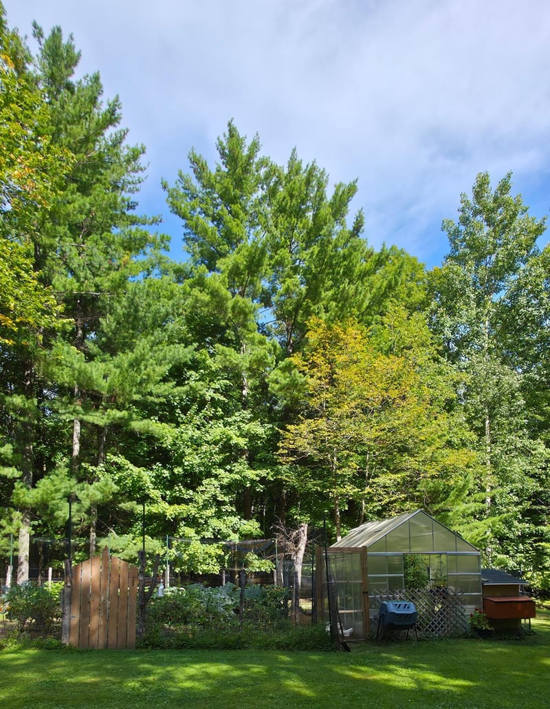 1406 Balsam Ln, Nisswa, MN 56468