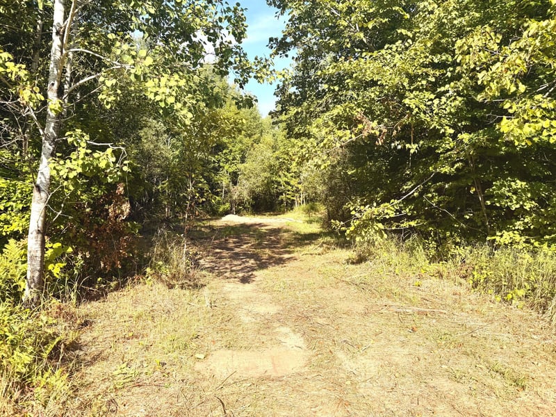 TBD-PARCEL C County Rd 23, Brainerd, MN 56401