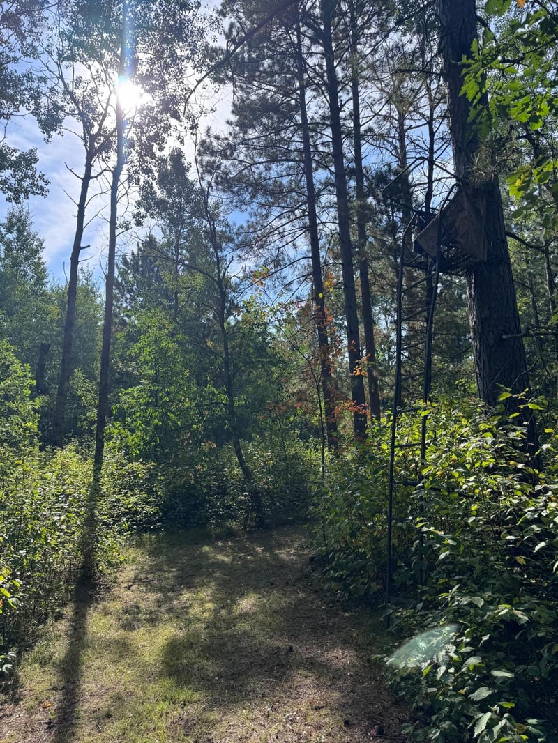TBD 170th St, Akeley, MN 56433