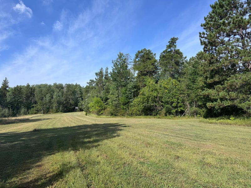 TBD 170th St, Akeley, MN 56433