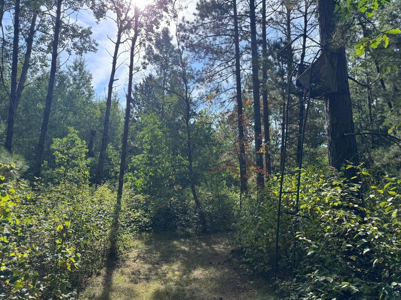 TBD 170th St, Akeley, MN 56433