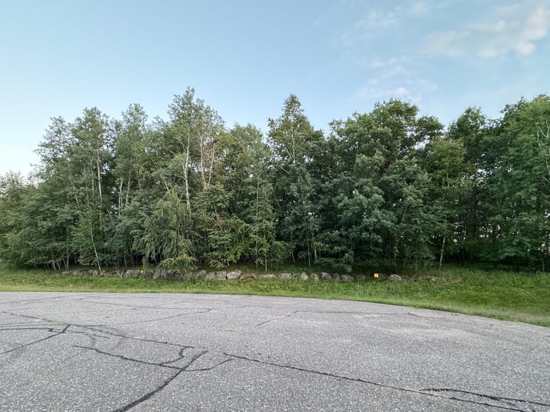 TBD 97th St NW, Zimmerman, MN 55330