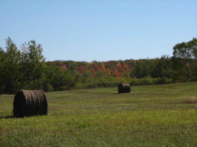 68144 Beaver Tail Rd, Askov, MN 55704