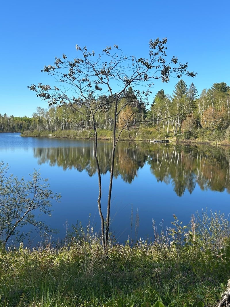 1448 Norsk Ln, Two Harbors, MN 55616
