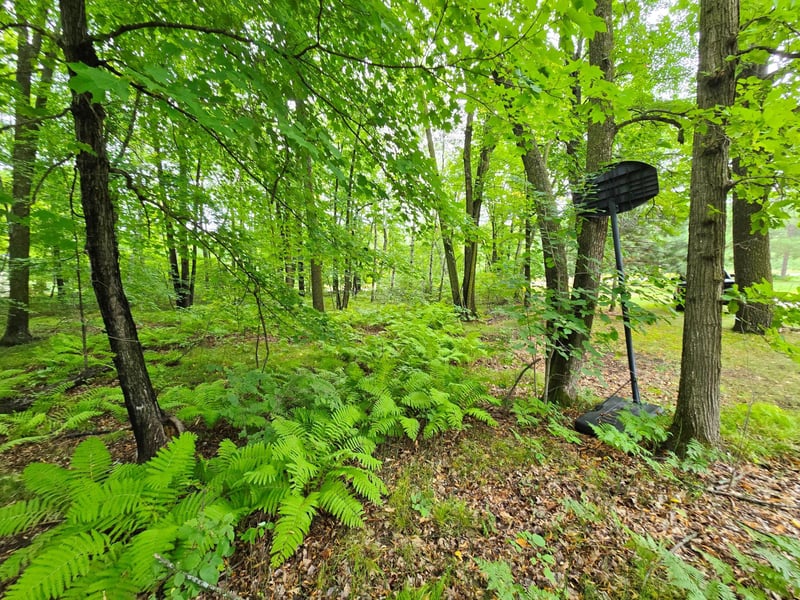 16359 County Road 10, Deerwood, MN 56444