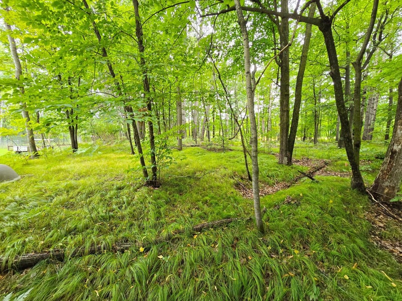 16359 County Road 10, Deerwood, MN 56444