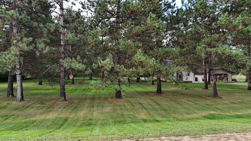 29691 County 26, Browerville, MN 56438