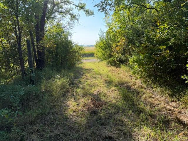 19202 605 Ave, Litchfield, MN 55355