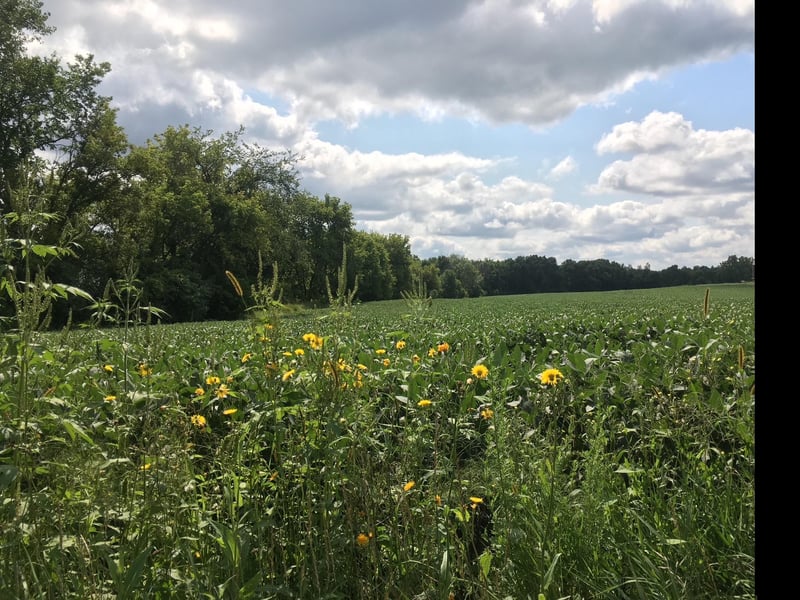 1405 Hamel Rd, Medina, MN 55340