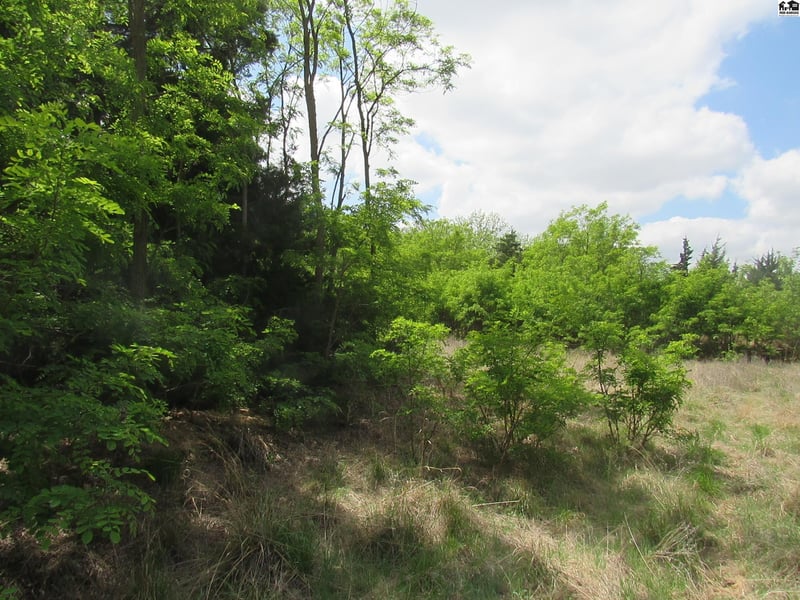 00000 East Red Tail Rd, Hutchinson, KS 67502