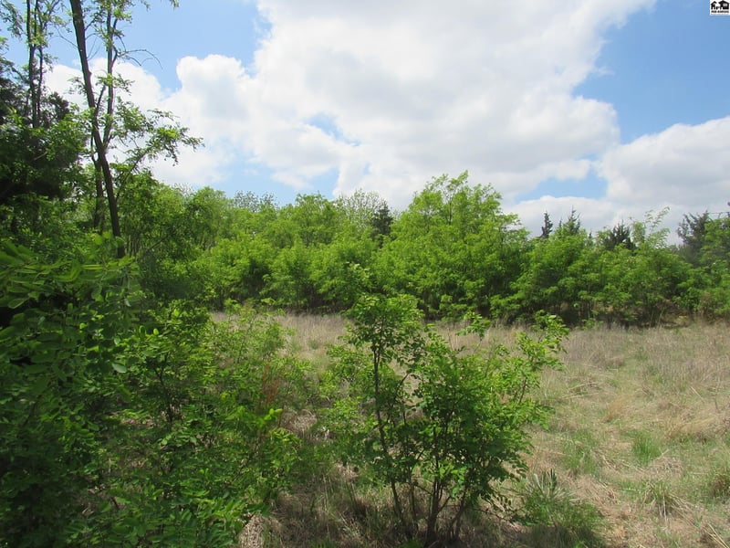 00000 East Red Tail Rd, Hutchinson, KS 67502