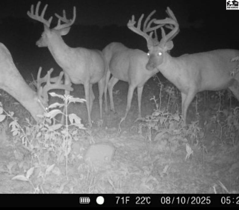 5020 N Table Mound Rd, Independence, KS 67301