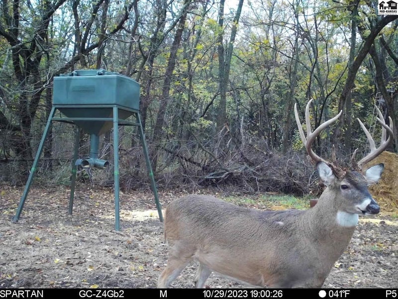 5020 Table Mound Rd, Independence, KS 67301