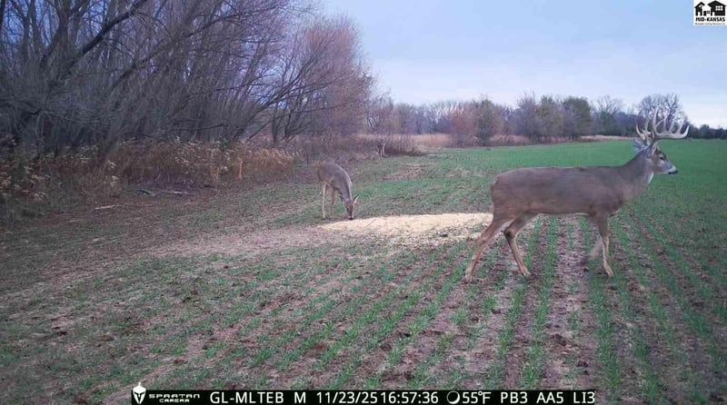 00000 140 Rd , Harper, KS 67058