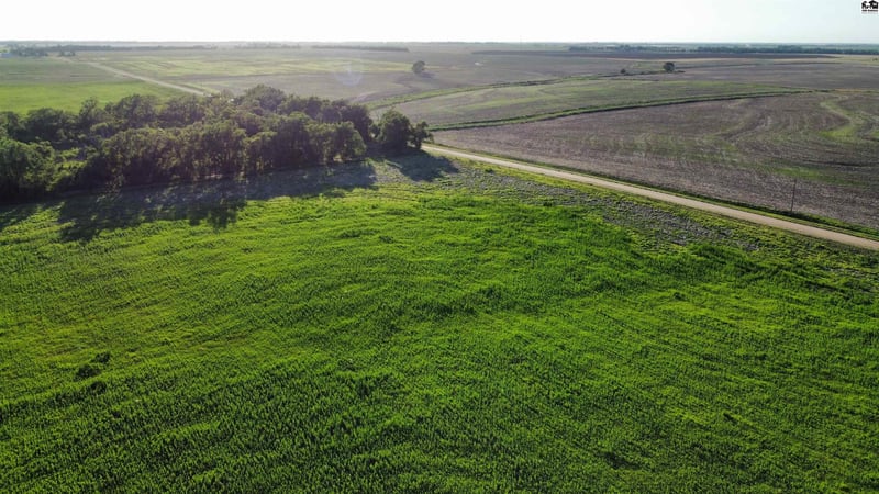00000 Boundary Rd, Pretty Prairie, KS 67570