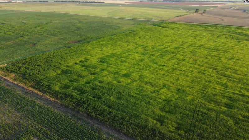 Boundary Rd, Pretty Prairie, KS 67570